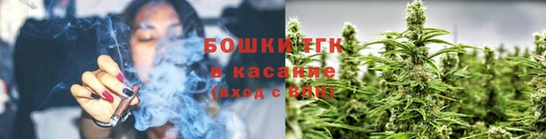 соль ск Белокуриха