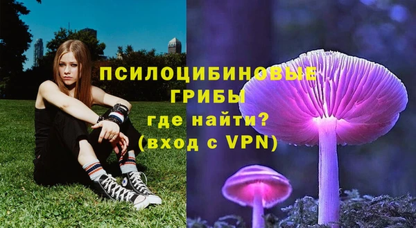 соль ск Белокуриха