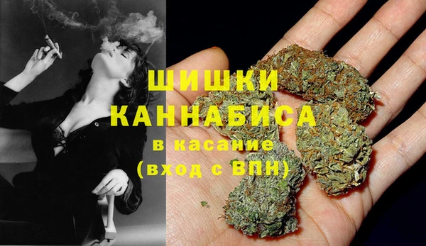 соль ск Белокуриха
