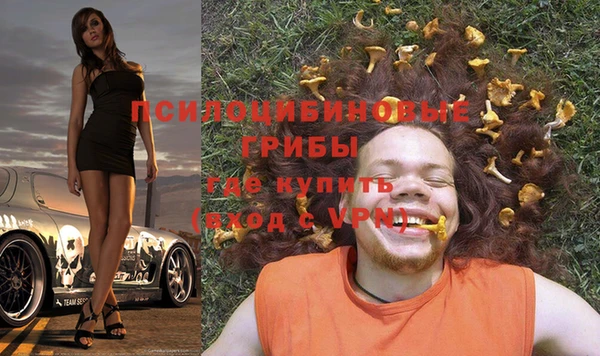 соль ск Белокуриха