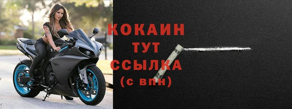соль ск Белокуриха