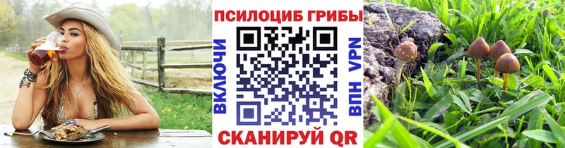 наркошоп кракен рабочий сайт Галлюциногенные грибы ЛСД Бутурлиновка
